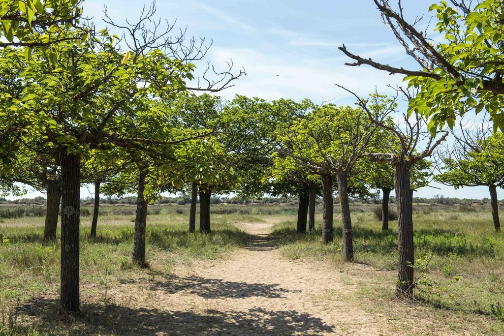 Domaine Les Muriers فيندريه المظهر الخارجي الصورة