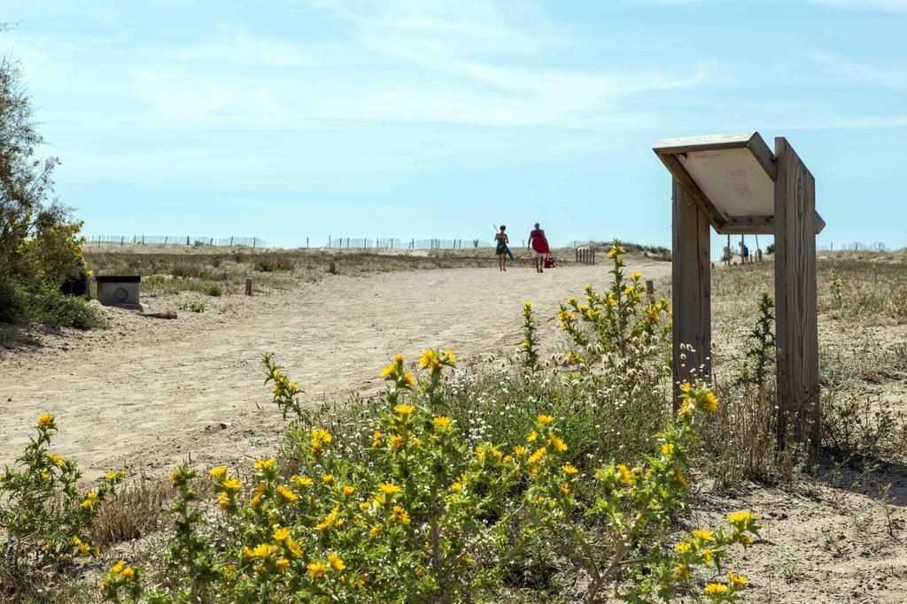 Domaine Les Muriers فيندريه المظهر الخارجي الصورة