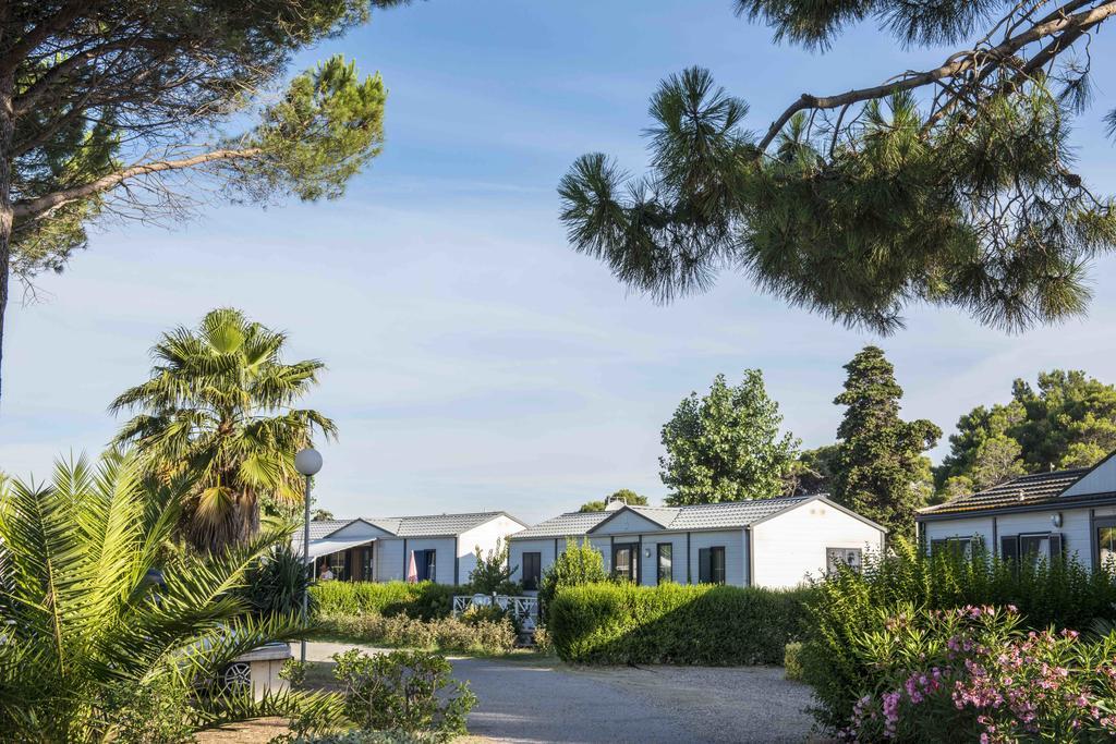 Domaine Les Muriers فيندريه المظهر الخارجي الصورة