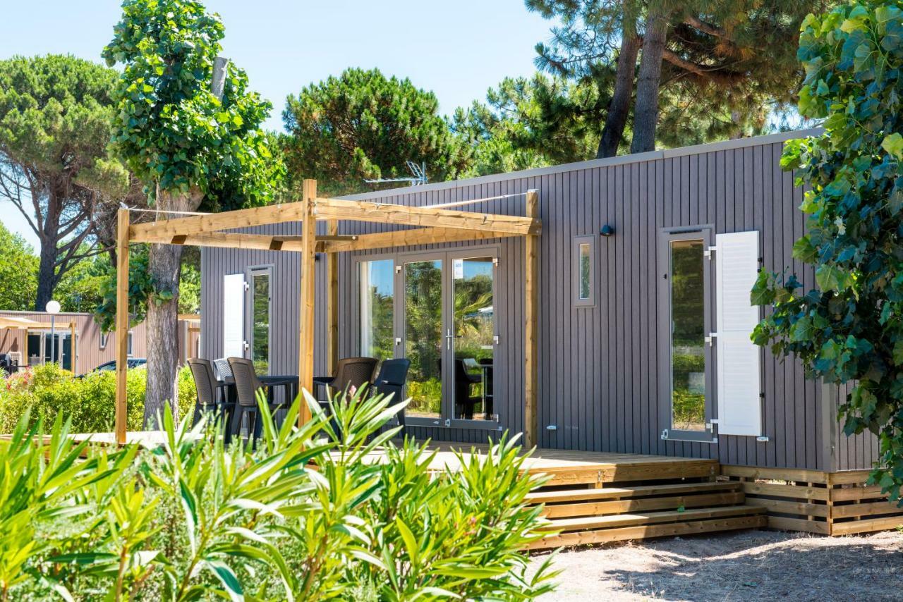 Domaine Les Muriers فيندريه المظهر الخارجي الصورة
